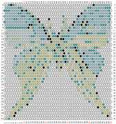 pattern Animals Butterflies