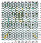 pattern Animals Butterflies