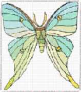 pattern Animals Butterflies