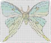 pattern Animals Butterflies