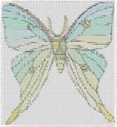 pattern Animals Butterflies