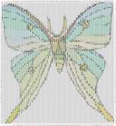 pattern Animals Butterflies