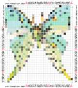 pattern Animals Butterflies