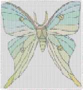 pattern Animals Butterflies