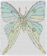 pattern Animals Butterflies