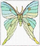 pattern Animals Butterflies