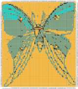 pattern Animals Butterflies