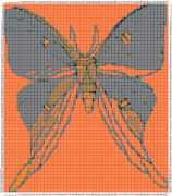 pattern Animals Butterflies