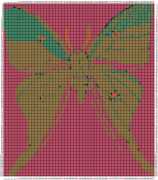 pattern Animals Butterflies