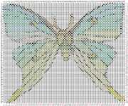 pattern Animals Butterflies