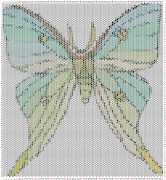 pattern Animals Butterflies
