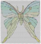 pattern Animals Butterflies