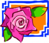 image  Plants Roses