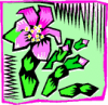 image  Plants Cactuses
