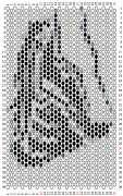 pattern Animals Horses