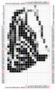 pattern Animals Horses