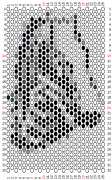 pattern Animals Horses