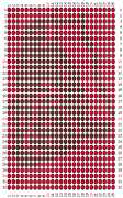 pattern Animals Horses