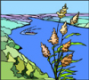image  Plants 