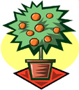 image Plants Trees