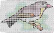 pattern Animals Birds Countries China
