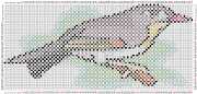 pattern Animals Birds Countries China