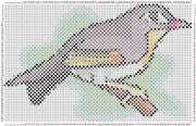 pattern Animals Birds Countries China