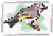 pattern Animals Birds Countries China