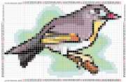 pattern Animals Birds Countries China