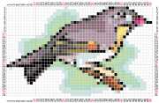 pattern Animals Birds Countries China