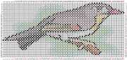 pattern Animals Birds Countries China