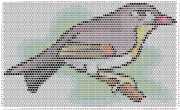 pattern Animals Birds Countries China