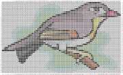 pattern Animals Birds Countries China