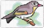 pattern Animals Birds Countries China