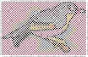 pattern Animals Birds Countries China