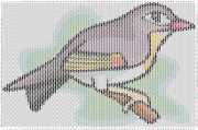 pattern Animals Birds Countries China