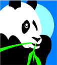 image Countries China Animals Pandas