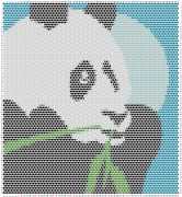 pattern Countries China Animals Pandas