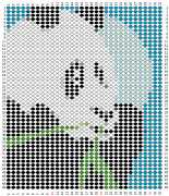 pattern Countries China Animals Pandas