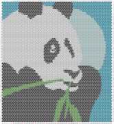 pattern Countries China Animals Pandas