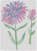 pattern Plants Flowers Countries China