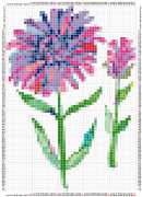 pattern Plants Flowers Countries China