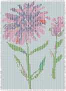 pattern Plants Flowers Countries China