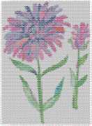 pattern Plants Flowers Countries China