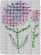 pattern Plants Flowers Countries China