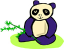 image Countries China Animals Pandas