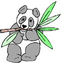 image Countries China Animals Pandas