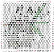 pattern Countries China Animals Pandas