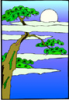 image  Countries 