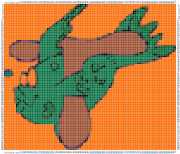 pattern Animals Fishes Letters & numbers Fishes